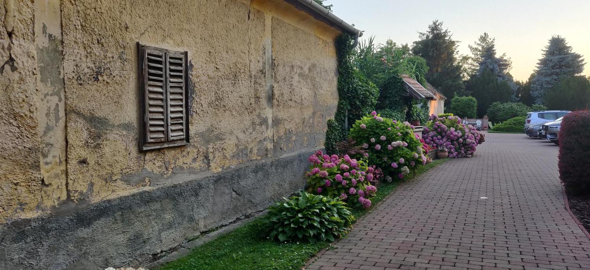 Korona Panzio Bed & Breakfast Balatonberény Dış mekan fotoğraf