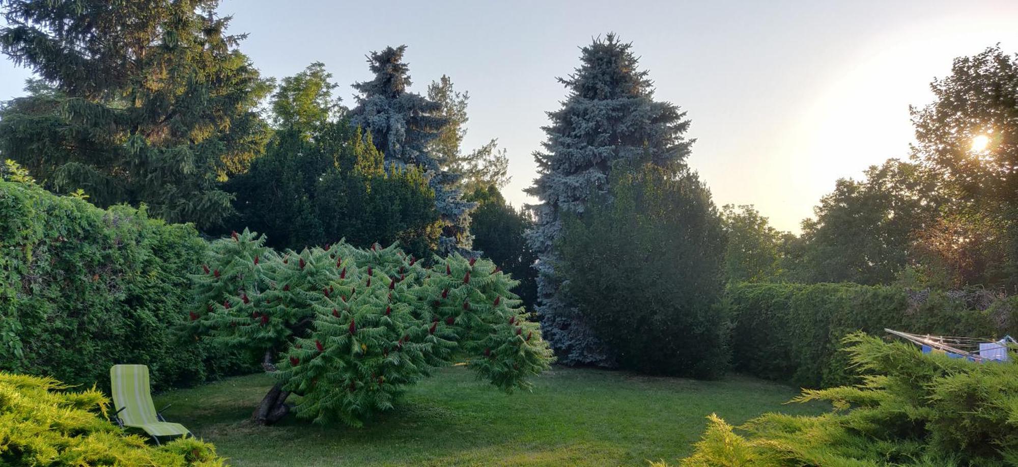 Korona Panzio Bed & Breakfast Balatonberény Dış mekan fotoğraf