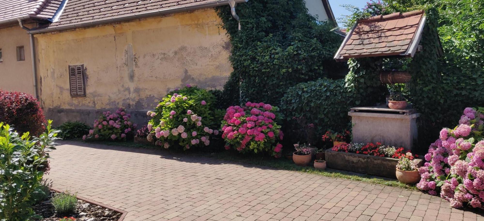 Korona Panzio Bed & Breakfast Balatonberény Dış mekan fotoğraf